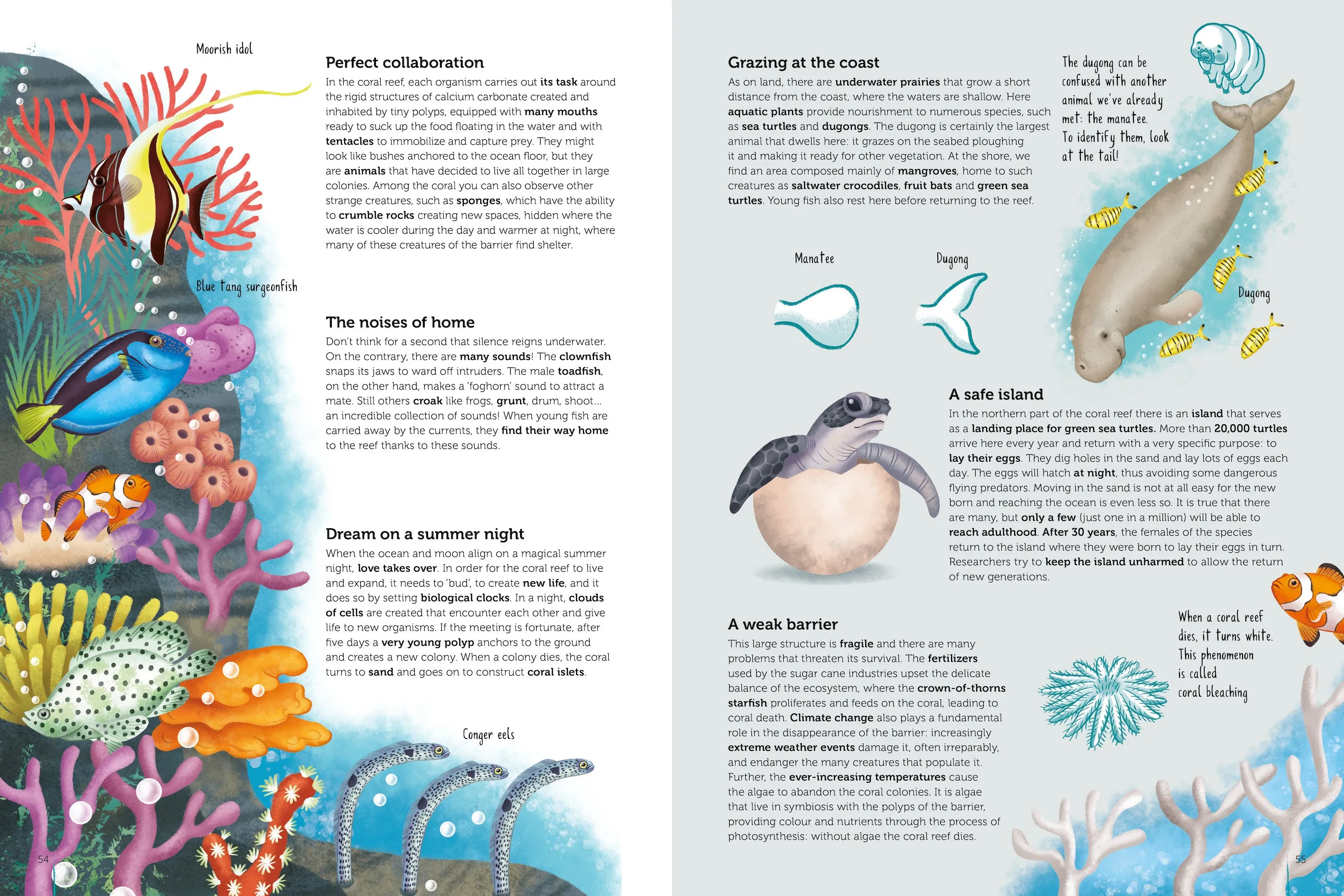 Atlas of Biodiversity - Ecosystems to Protect