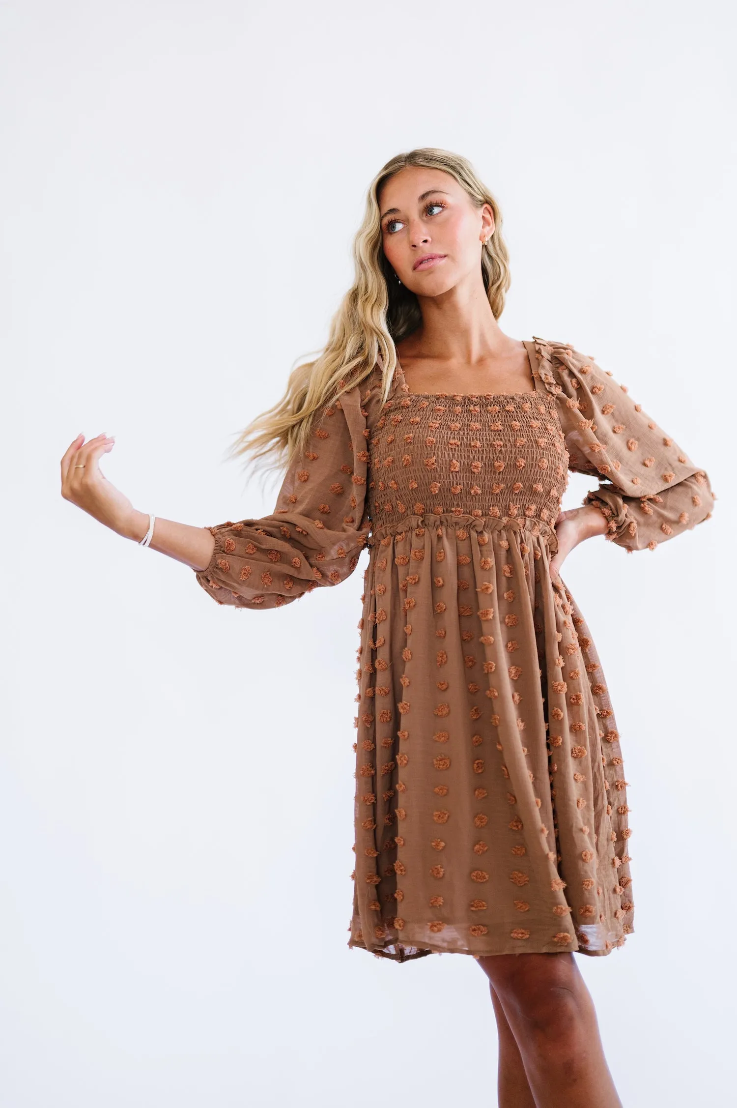 Bae Mini Dress in Brown