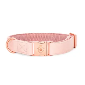 Candy Pink Collar