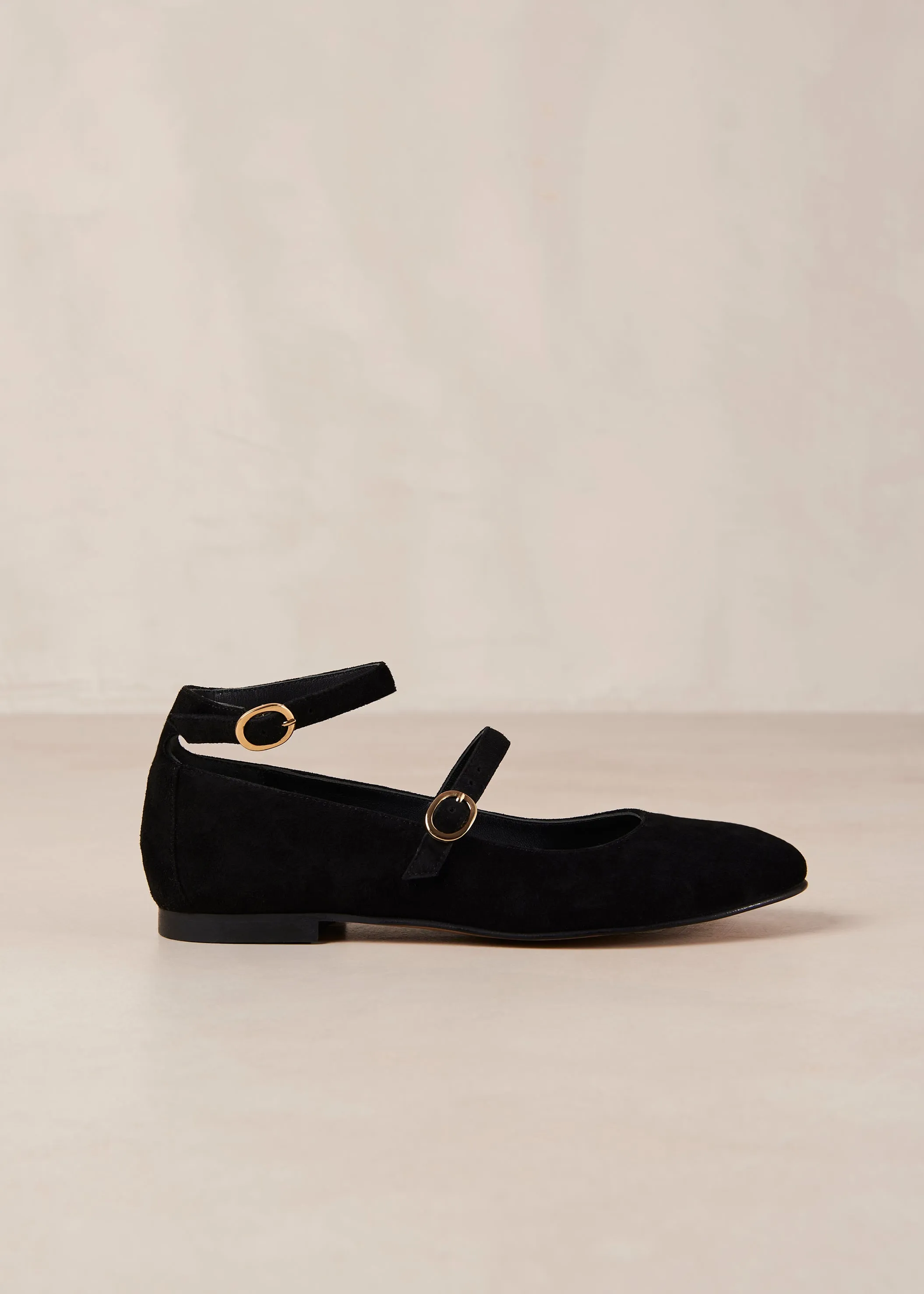 Evelyn Suede Black Leather Ballet Flats