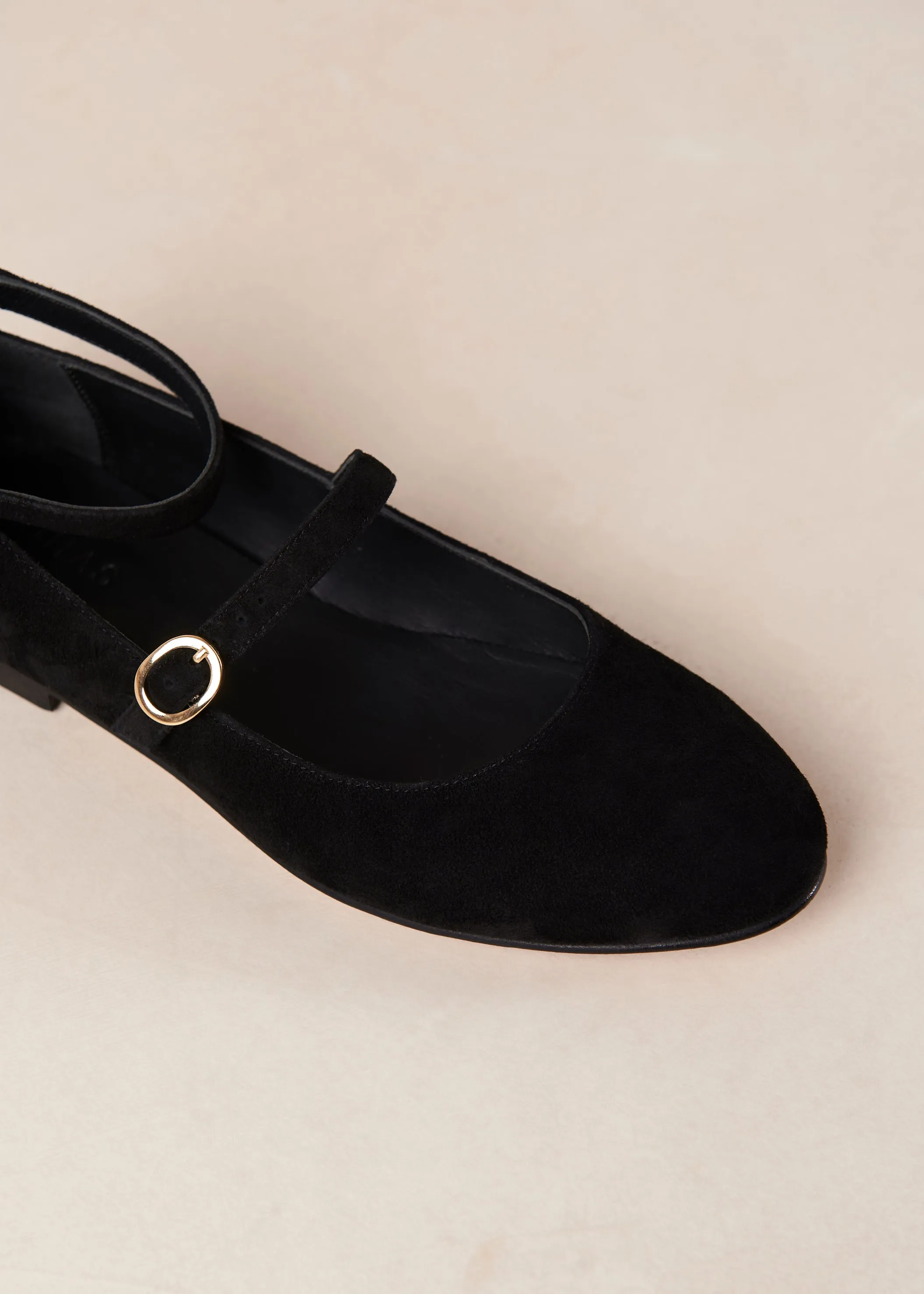 Evelyn Suede Black Leather Ballet Flats