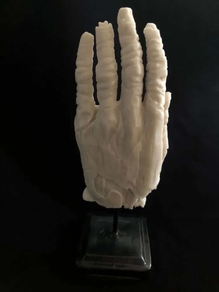 Hand of Glory