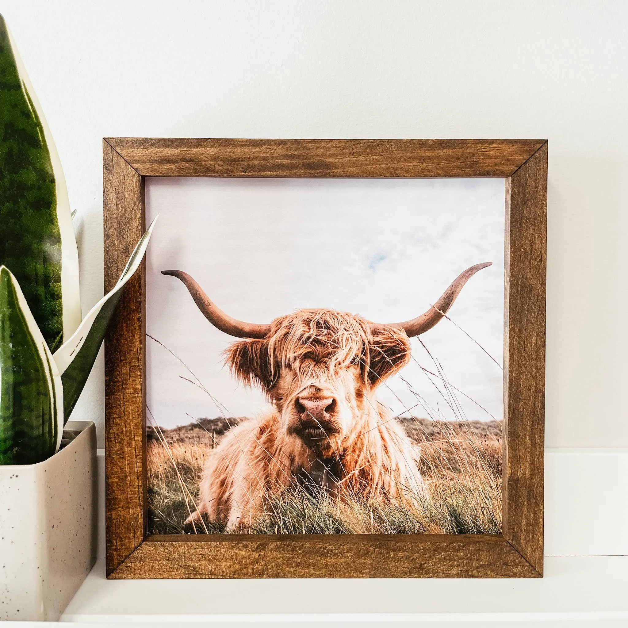 Highland Cow Framed Wooden Sign