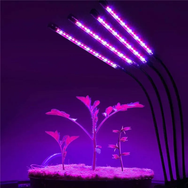 LED Grow Light