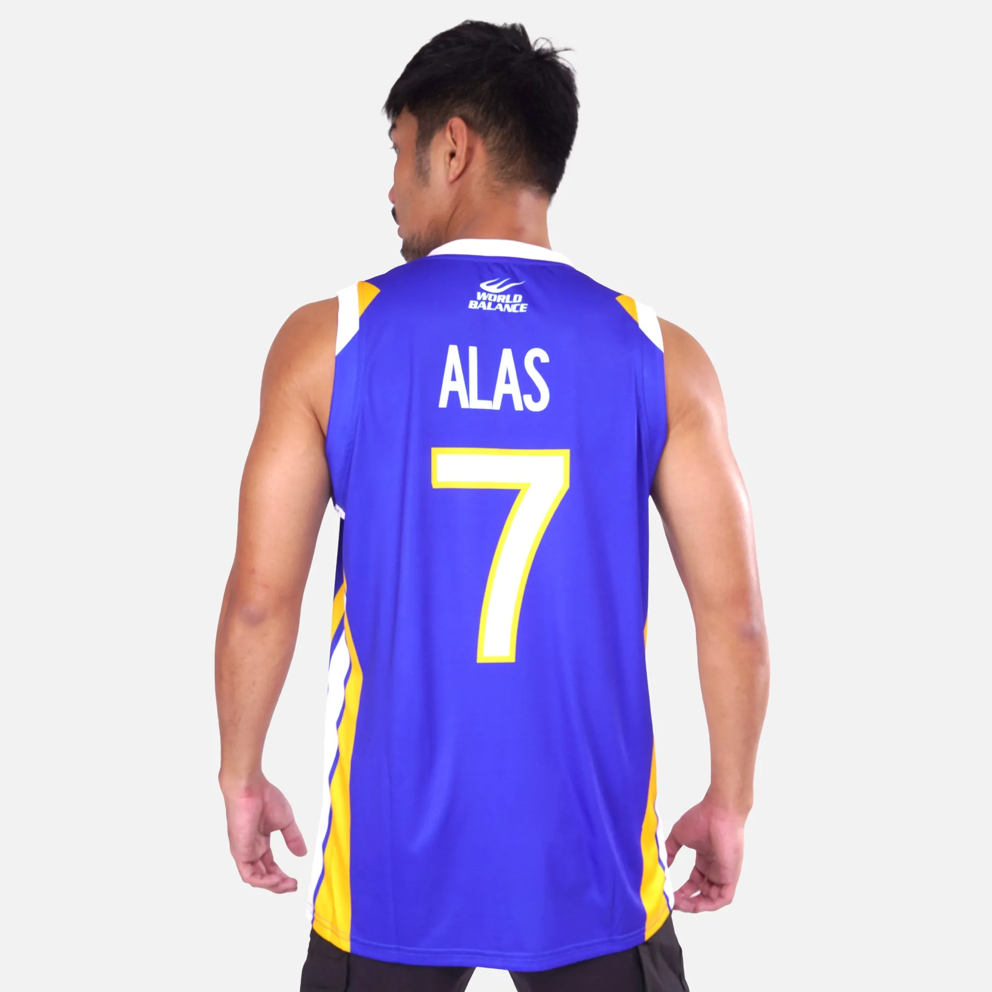 NLEX-ALAS