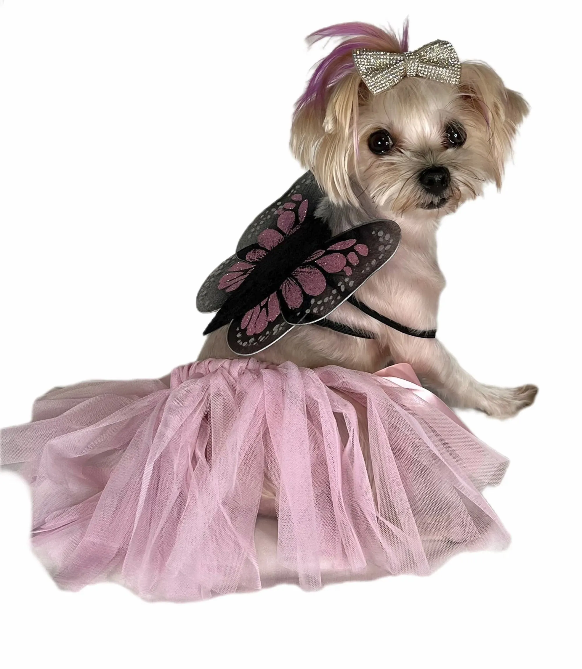 Pawpatu Pink Butterfly Pet Costume; Tutu/Wing Set