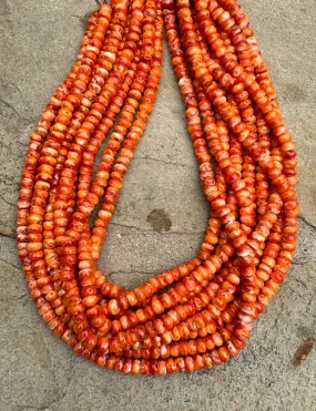 RARE Orange Spiny Oyster 6mm Rondel Beads, 16 inch Strand