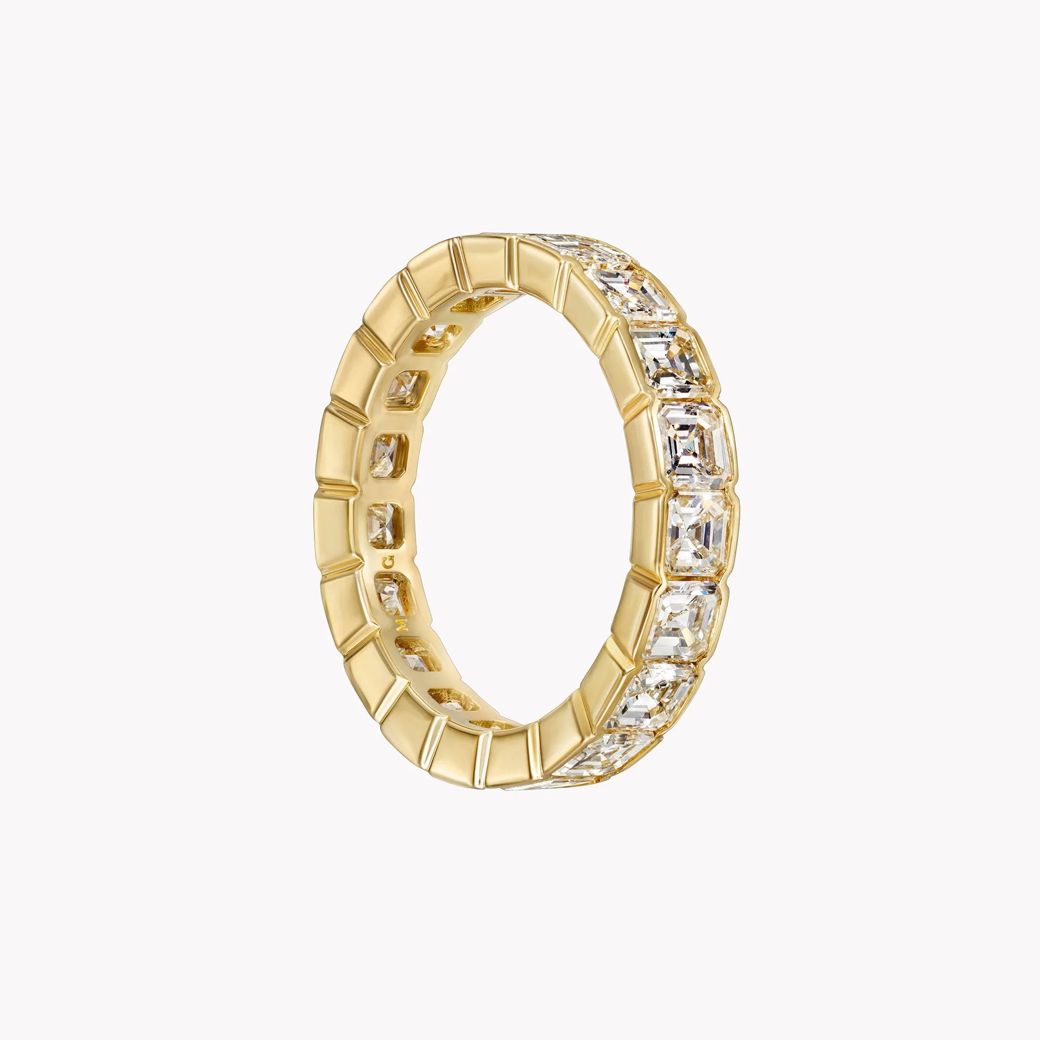 The Alexa Eternity Band